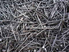 Common nail/ Common wire nail/Common iron nails