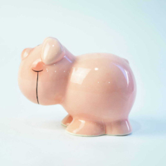 Pretty Piggy Bank with Lovely Pig Shape