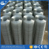 Stainless steel welded wire mesh