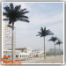 Styleized Artificial coconut trees fake green leaves Palm Tree for complex decoration