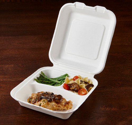 Disposable pulp mould bagasse 3-compartment food container