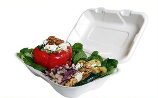 Bagasse disposable take-out food container compartment lunch box