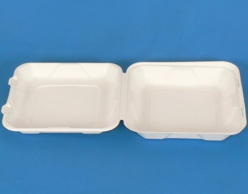Disposable Takeaway Sugarcane Bagasse 9" x 9" inch Food Container Box