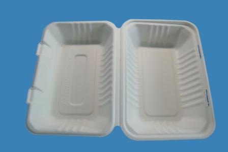 eco-friendly natural biodegradable takeout fast food container clamshell to-go lunch box