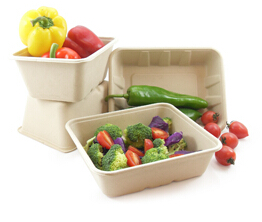 shallow square box salad bowl single use box Eco-friendly biodegradable tableware / pulp bowl