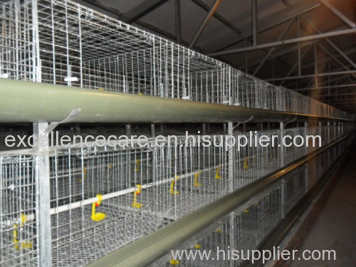 H Type Cages for Growing Broilers