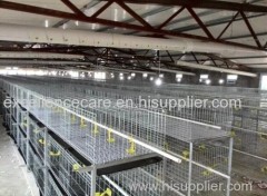 Wire Mesh Baby Chicken Cage for Sale