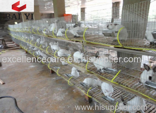 Wire Mesh Rabbit Cages for Rabbit Farm