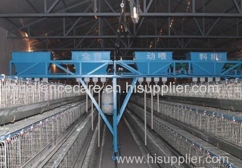 Automatic Poultry Farming Equipment System for Chicken