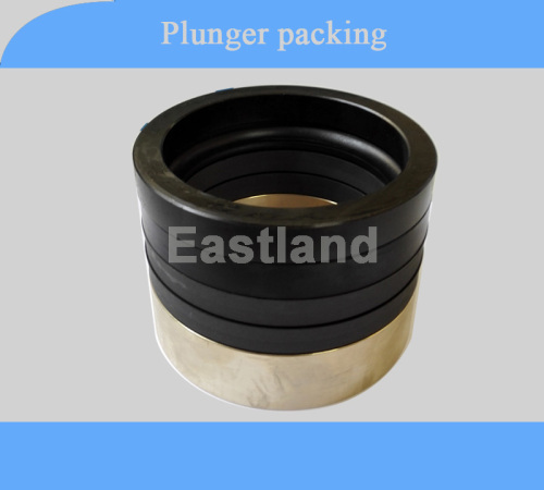 plunger pump plunger packing seal