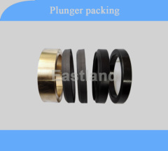 plunger pump plunger packing seal