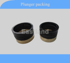 plunger pump plunger packing seal