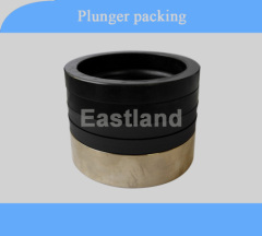 plunger pump plunger packing seal