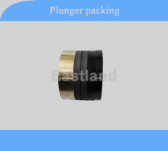 plunger pump plunger packing seal