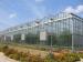 The Cheapest and Easily Installed Sainpoly Agricultural/Commercial Glass Greenhouse