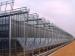 The Cheapest and Easily Installed Sainpoly Agricultural/Commercial Glass Greenhouse