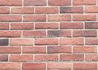 Decorative Interior Thin Brick Panels / Wall Building Materials With Turned Color 210*55