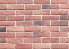 Decorative Interior Thin Brick Panels / Wall Building Materials With Turned Color 210*55