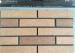 Smooth Customized Exterior Thin Brick With Wear Resistance Solid Void Ratio
