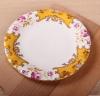 popular party plate cast iron enamel dinner plate