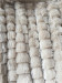 Two Layer Faux Fur Polyester Blanket With Tassels