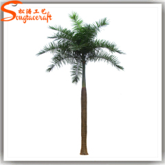 Fake outdoor middle East trees artificial Roystonea regia palm tree on sale