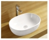 Art Basin/New product bathroom