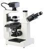 Schools Institution Inverted Biological Microscopes For Cell Dynamic Observation