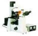 Fluorescence Microscopy Biological Microscopes For Pharmacy / Disease Prevent