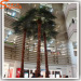 High quality simulation palm trees Artificial Washingtonia Palm Tree for hall decoration