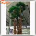 High quality simulation palm trees Artificial Washingtonia Palm Tree for hall decoration