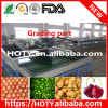 Hot Selling Industrial Fruit Washing Machine With Good Quality