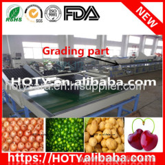 citrus fruit washing waxing and grading machine