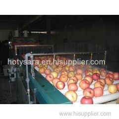 mango fruit grading machine / Apple washing sorting machine