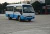 Outstanding luxury Isuzu technology Coaster Minibus rural coaster type