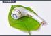 6 In 1 Deep Cleansing Facial Brush Massager 60 400 Handle Operating Current