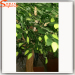 plastic leaves giant ancient trees garden decorative artificial ficus tree