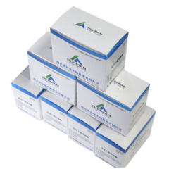 Hs- CRP +CRP Rapid Test poct Kits for fluorescence immunoassay