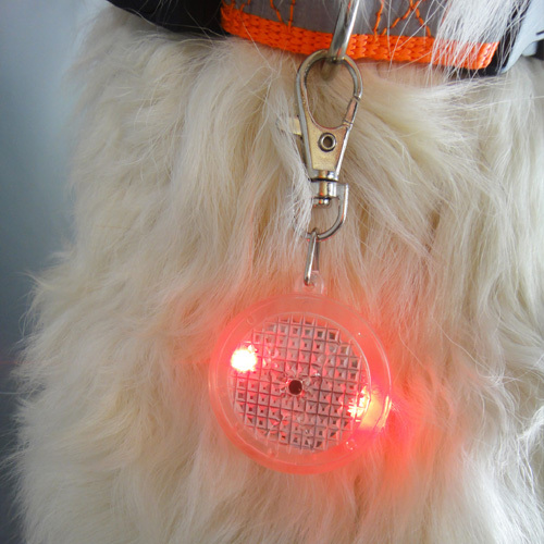 personalized cat tags led safety collar light