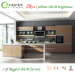 Foshan Candany kitchen cabinet lacquer kitchen cabinet with lacquer cabinet door