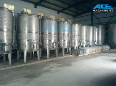 100 Liters Sanitary Seeds Fermentation Tank