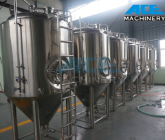 100 Liters Sanitary Seeds Fermentation Tank