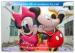 Beautiful Mickey Mouse Kids Inflatable Bouncy Castle Cartoon With CE / UL Blower