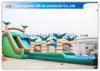 Colorful Funny Toy Kids Inflatable Water Slides For Outdoor Amusement Park