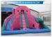 Custom Pink Double Inflatable Water Slides For Toddlers Plays With Pool