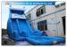 Blue Dolphin Inflatable Rental Water Slides Bounce House For Big Kids / Teenagers