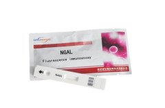 NGAL Rapid Test poct Kits by fluorensense immunoassay analyzer