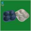 Sustainable bagasse pulp Apple packaging trays