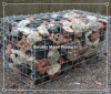 hot galvanized weld mesh gabions