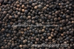 Natural Black Pepper in stock